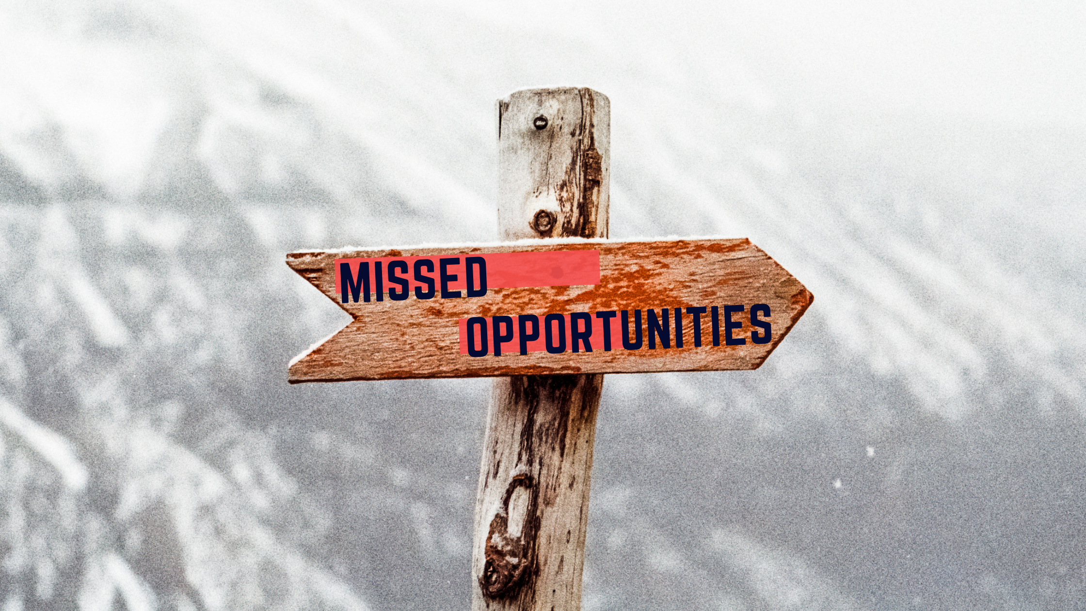 Missed Opportunities in business