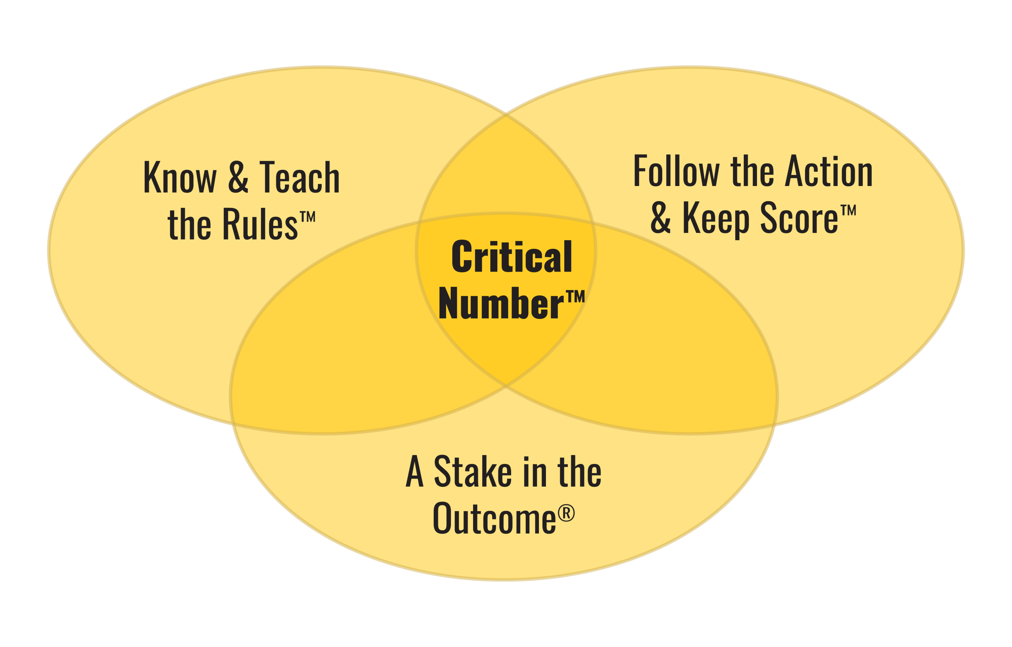 The Process Circles The Process Circles