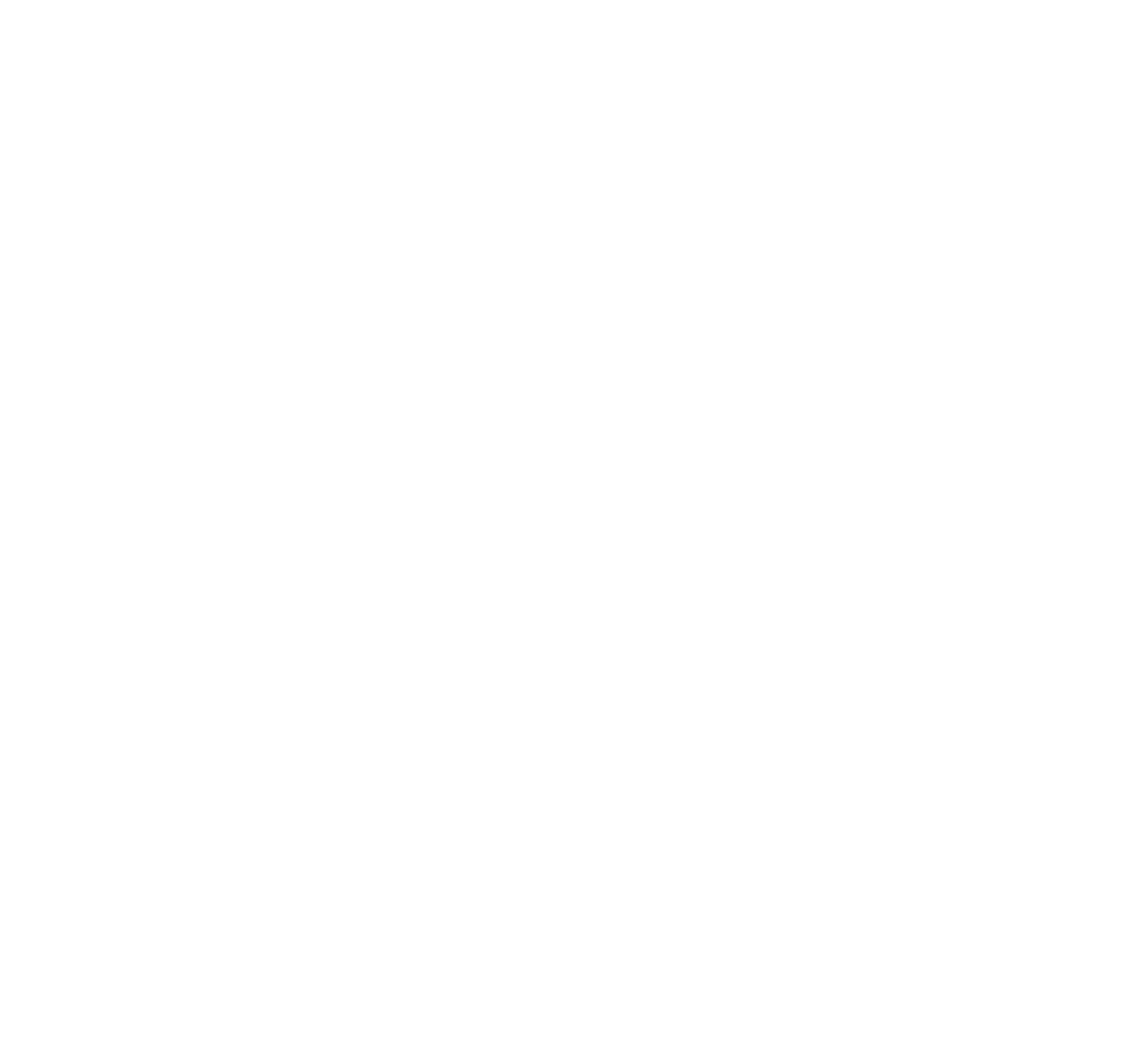 WHAT MAKES AN ALL-STAR-WHITE2