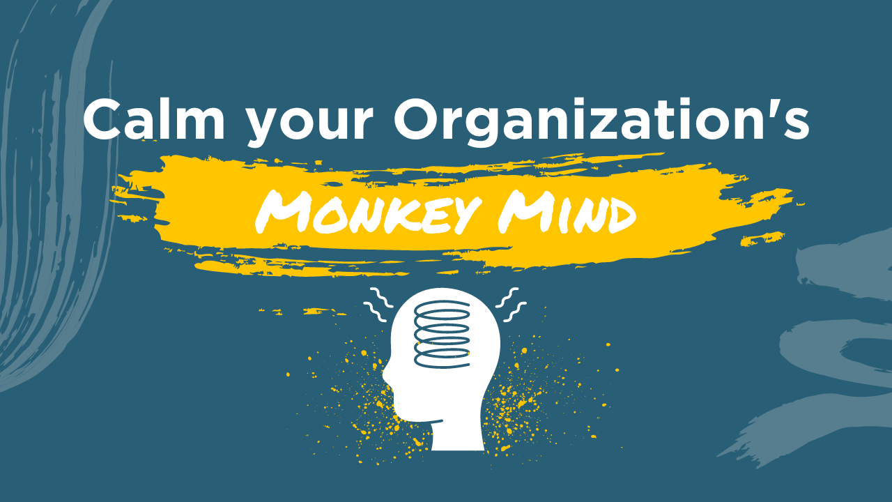 calm your organizations monkey mind blog