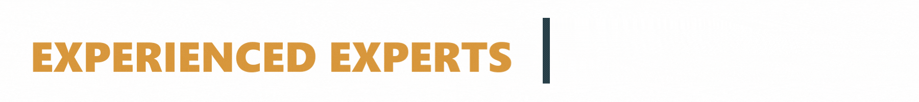 Copy of Experienced Experts