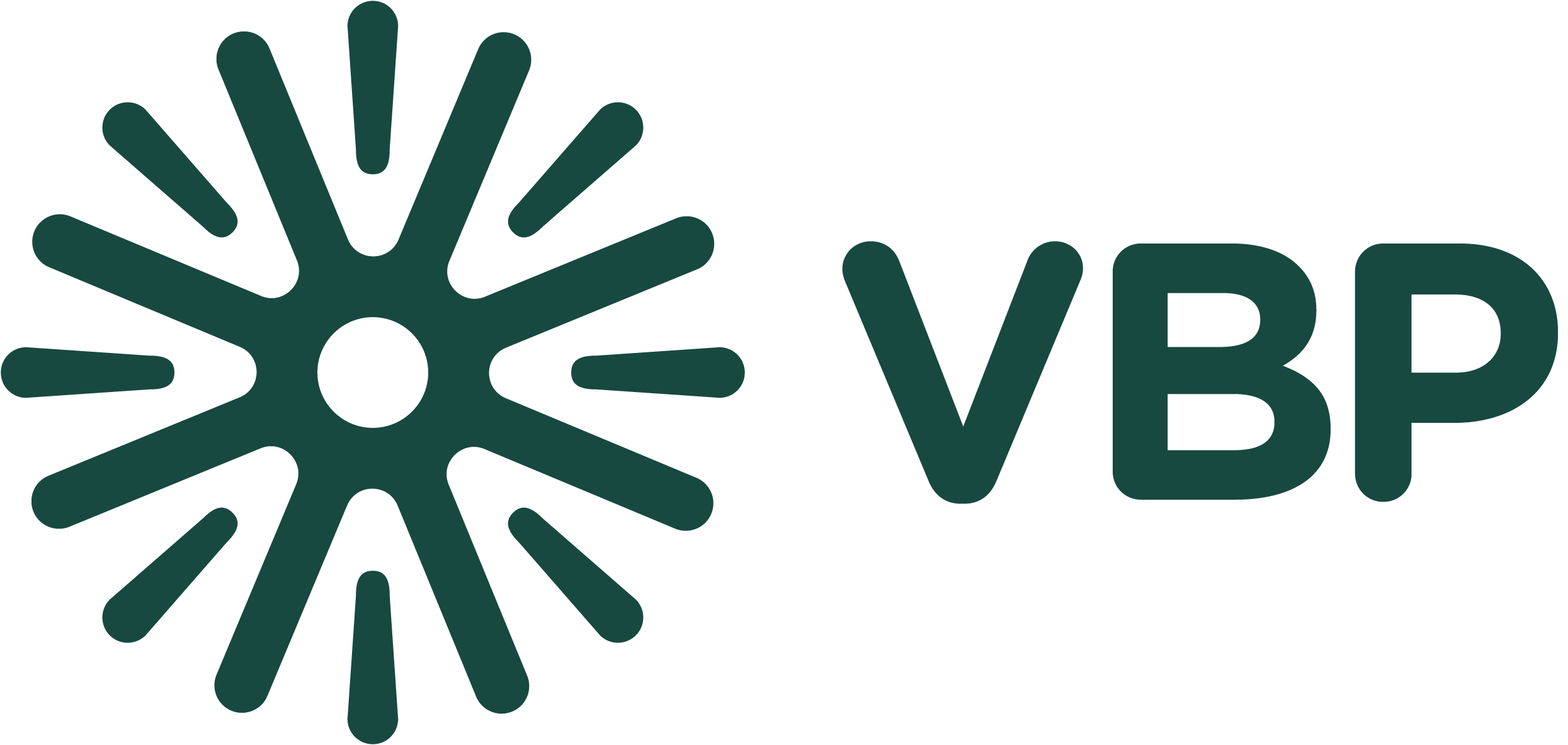 New VBP Logo (2)