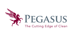 Pegasus Logo No Background