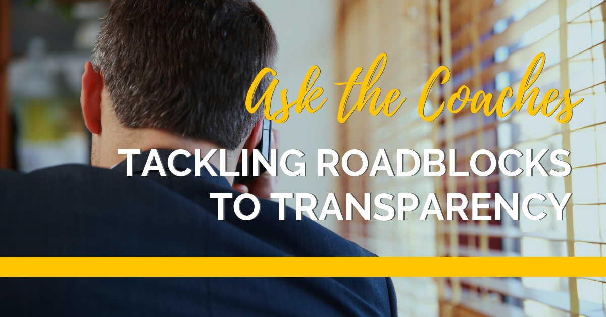 Roadblocks to transparency-sized (3)